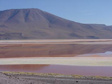 Voyage sur-mesure, Laguna Colorada